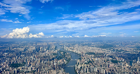 通过app项目查询域名