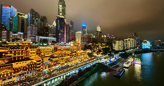 域名信息查询工具app下载