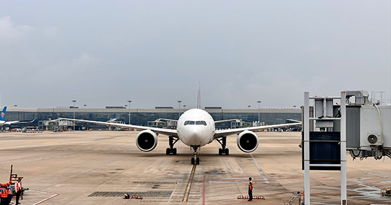 app域名查询怎么查询