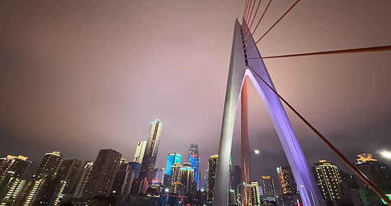 通过沈阳app开发查询域名